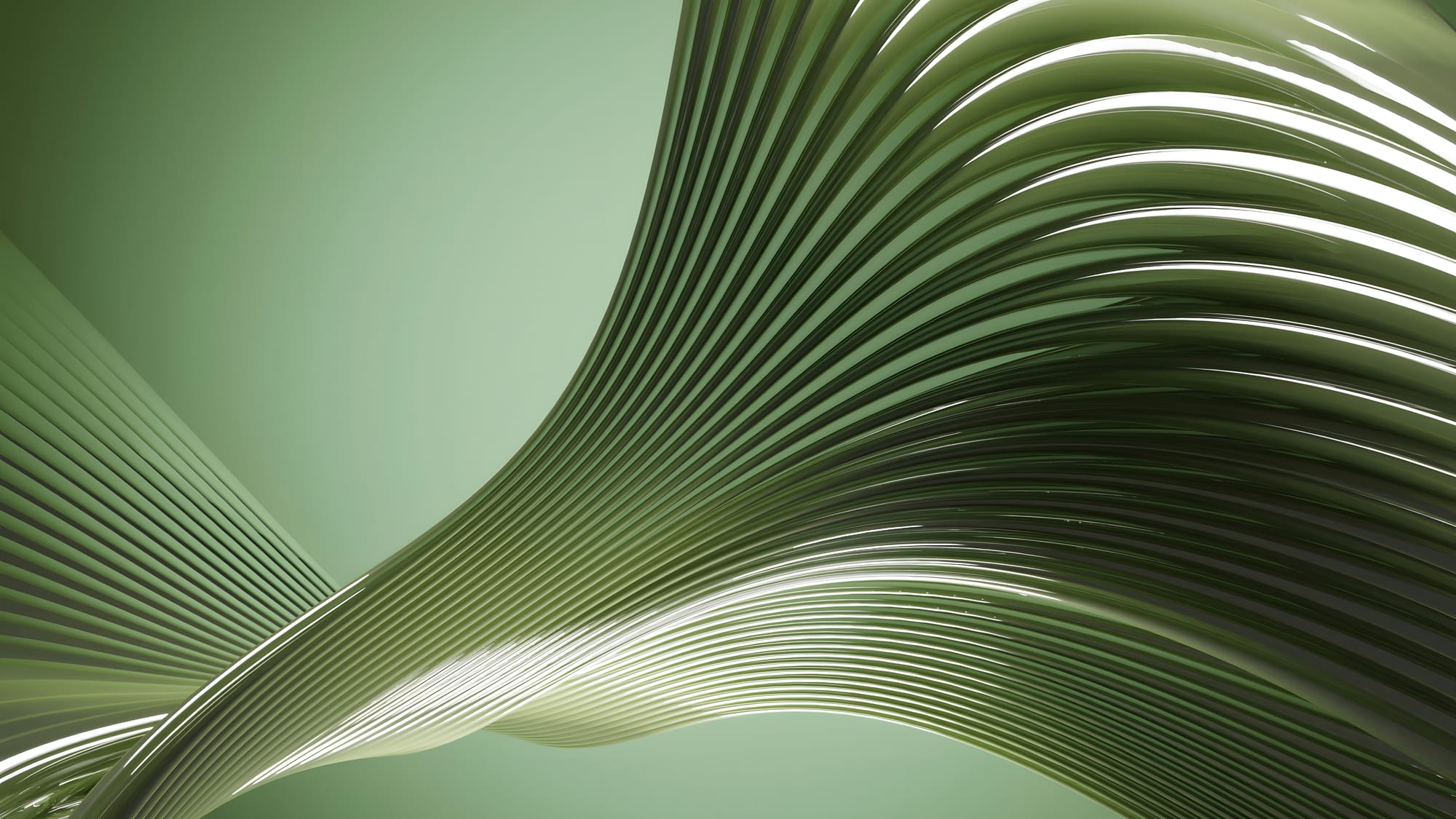 An abstract image with wavy lines, shades of earthy green.